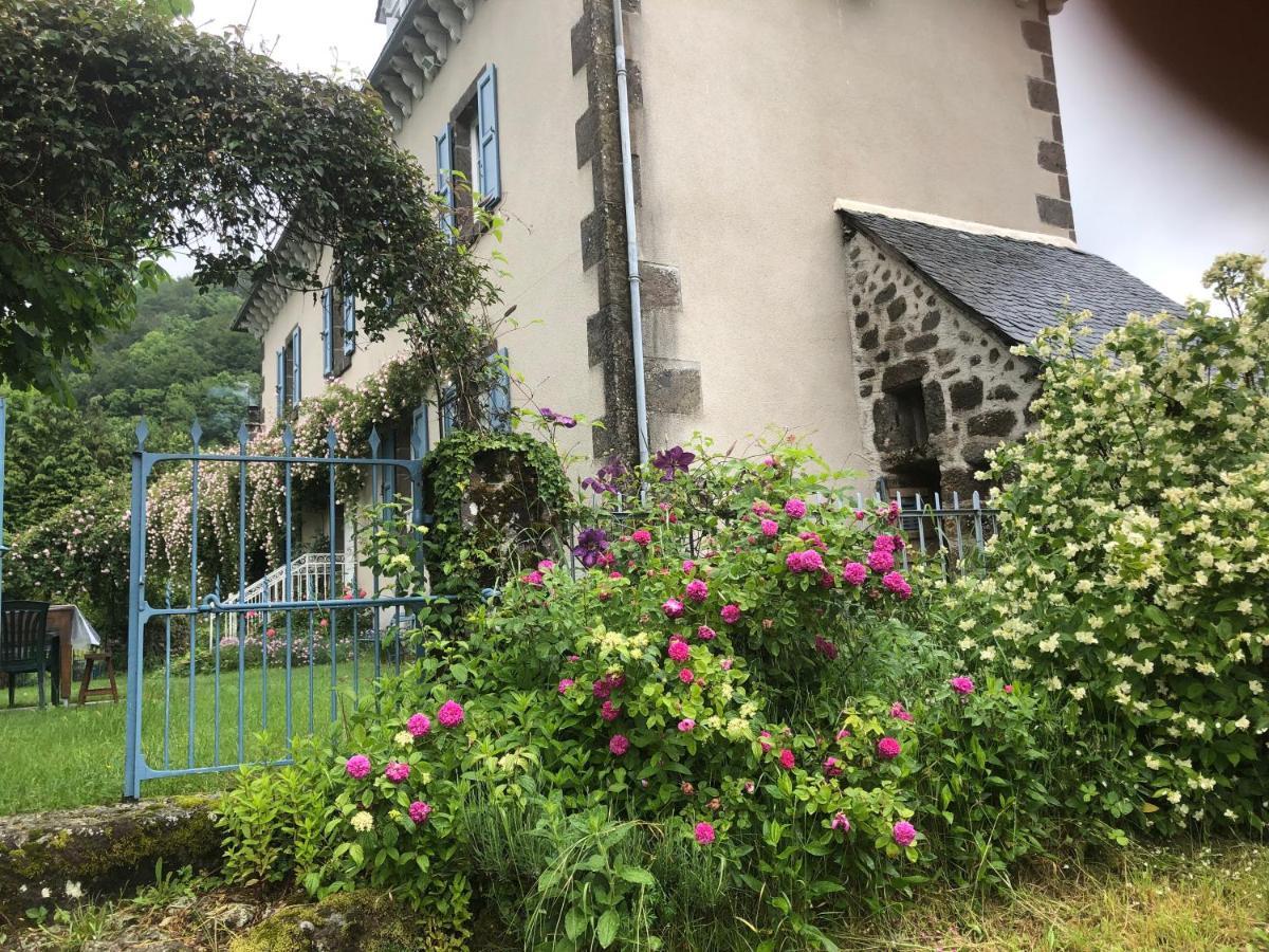 Bed and Breakfast Le Figarelou Thiezac Экстерьер фото