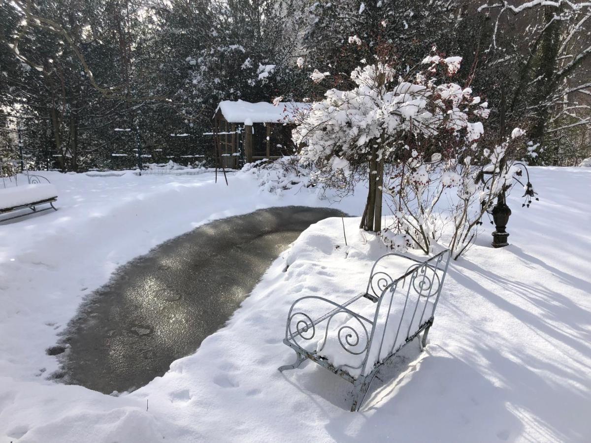 Bed and Breakfast Le Figarelou Thiezac Экстерьер фото