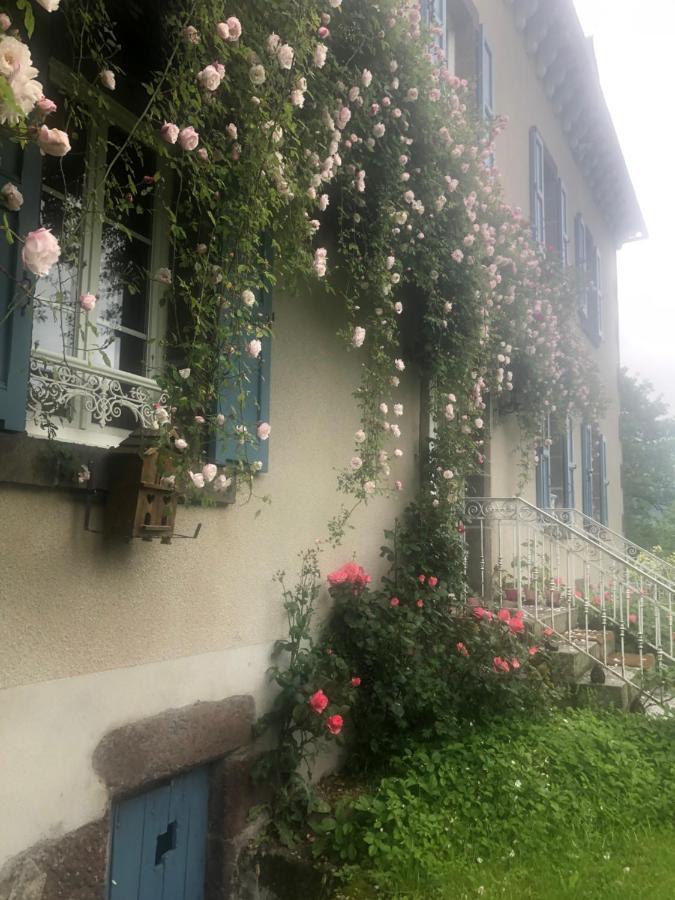 Bed and Breakfast Le Figarelou Thiezac Экстерьер фото
