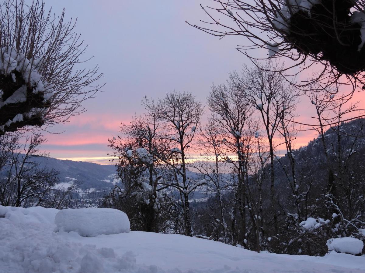 Bed and Breakfast Le Figarelou Thiezac Экстерьер фото